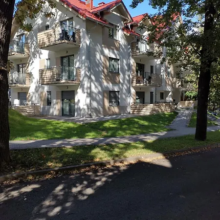 Turkusowy